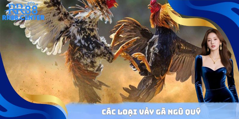 Các loại vảy gà ngũ quý