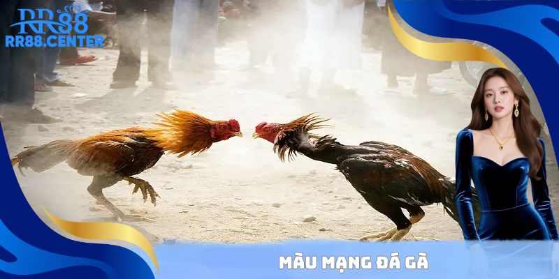 Màu Mạng Đá Gà