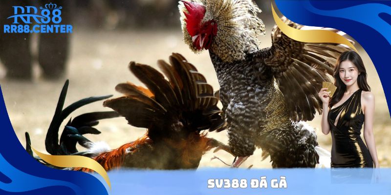 SV388 Đá Gà