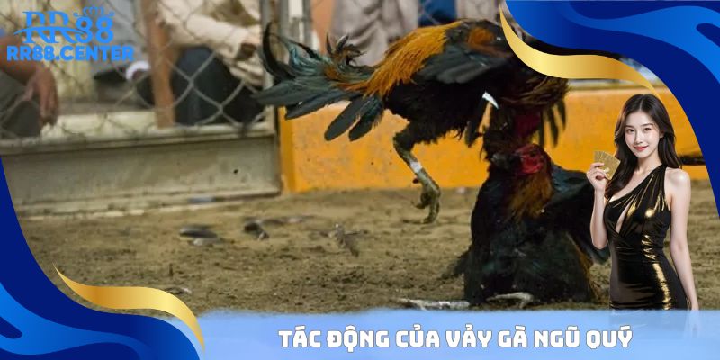 Tác động của vảy gà ngũ quý